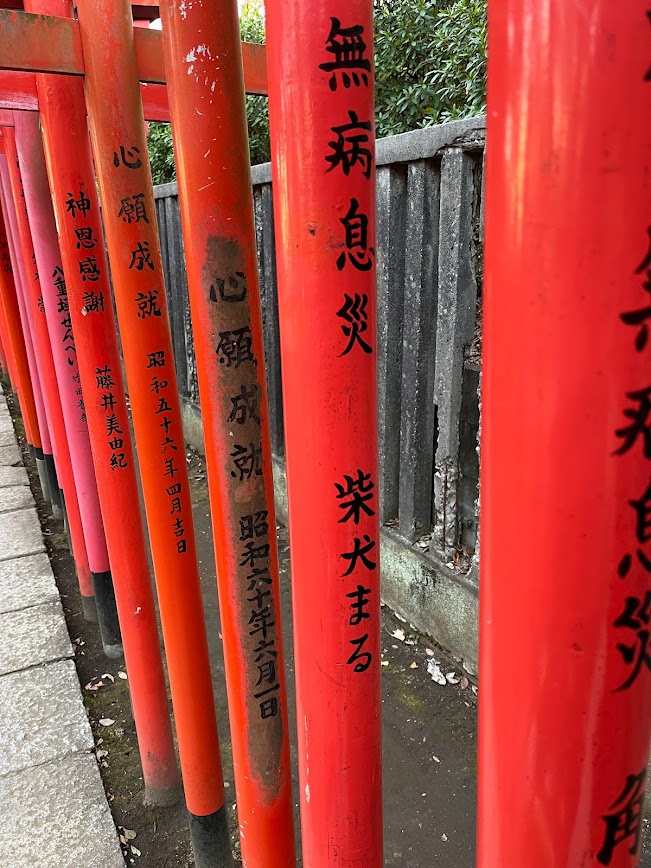 東京都內大學／神社紀錄：東京都文京區根津神社，柴犬まる的鳥居