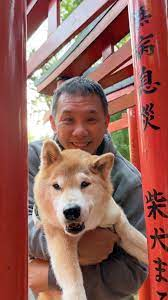 東京都內大學／神社紀錄：柴犬まる和主人